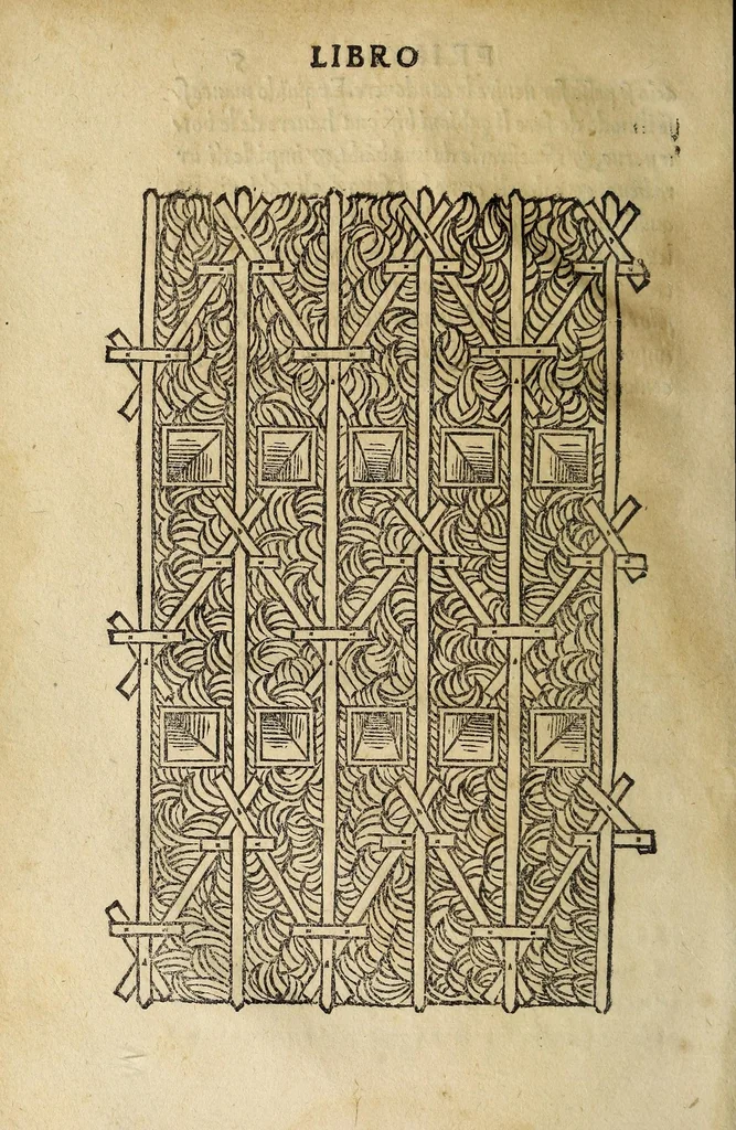 An illustration from Vallo : libro cõtinente appertenentie ad capitanii, retenere & fortificare una citta cõ bastioni, con noui artificii de fuoco aggionti, come nella tabola appare, & de diverse sorte poluere, et de expugnare una citta cõ põti, scale, argani, trõbe, trẽciere, artegliarie, caue, dare auisamenti senza messo allo amico, fare ordinanze, battaglioni, et ponti de disfida con lo pingere, opera molto utile con la experientia de larte, 1528, leaf 30