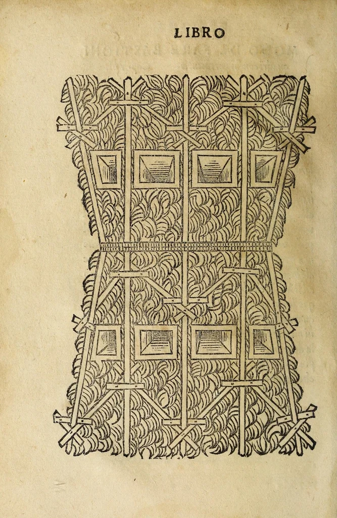 An illustration from Vallo : libro cõtinente appertenentie ad capitanii, retenere & fortificare una citta cõ bastioni, con noui artificii de fuoco aggionti, come nella tabola appare, & de diverse sorte poluere, et de expugnare una citta cõ põti, scale, argani, trõbe, trẽciere, artegliarie, caue, dare auisamenti senza messo allo amico, fare ordinanze, battaglioni, et ponti de disfida con lo pingere, opera molto utile con la experientia de larte, 1528, leaf 32