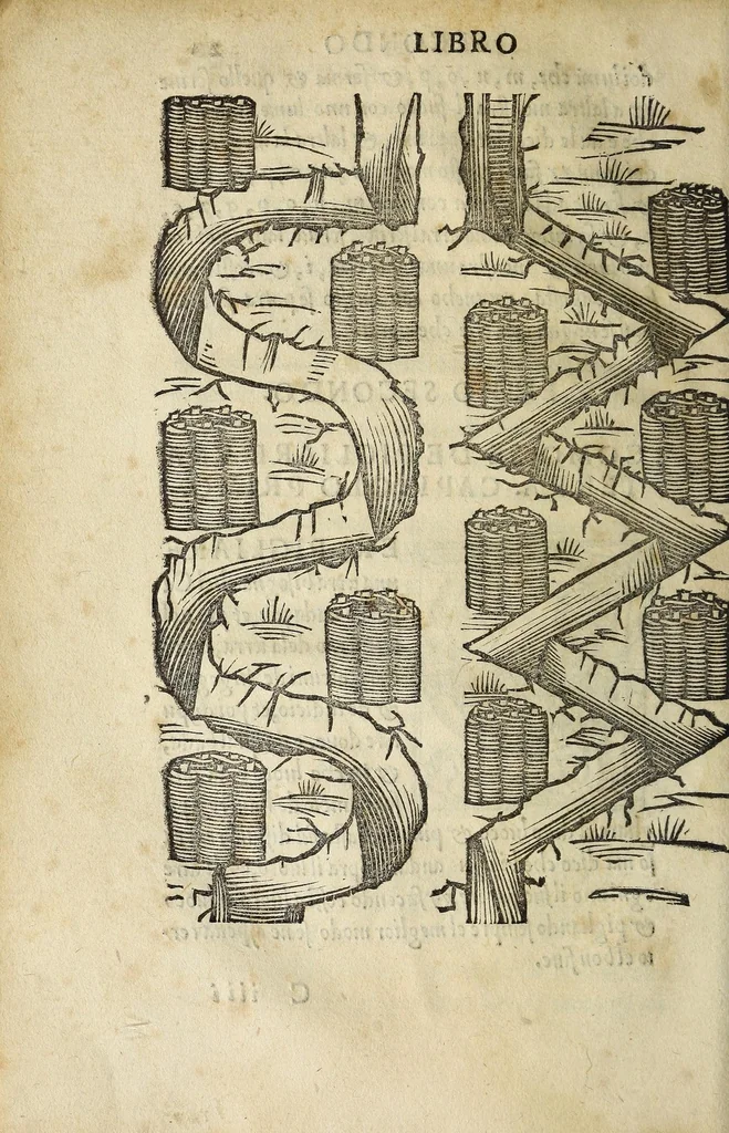 An illustration from Vallo : libro cõtinente appertenentie ad capitanii, retenere & fortificare una citta cõ bastioni, con noui artificii de fuoco aggionti, come nella tabola appare, & de diverse sorte poluere, et de expugnare una citta cõ põti, scale, argani, trõbe, trẽciere, artegliarie, caue, dare auisamenti senza messo allo amico, fare ordinanze, battaglioni, et ponti de disfida con lo pingere, opera molto utile con la experientia de larte, 1528, leaf 60