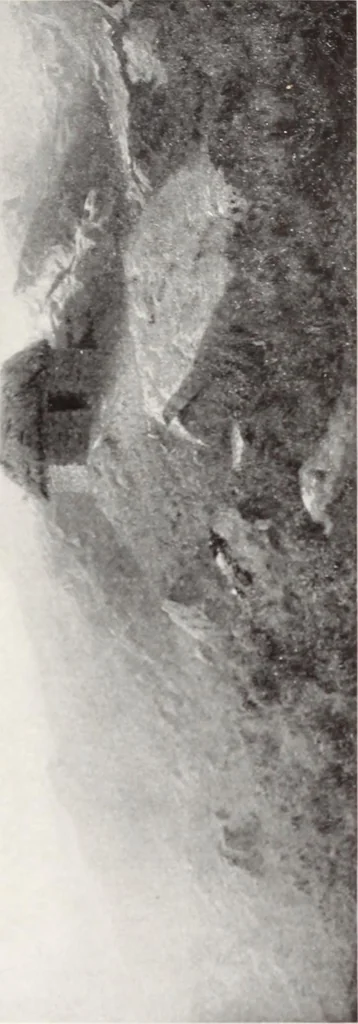 An illustration from Valuable paintings by distinguished masters of the Barbizon, contemporaneous and American schools, together with several Barye bronzes, 1913, leaf 100
