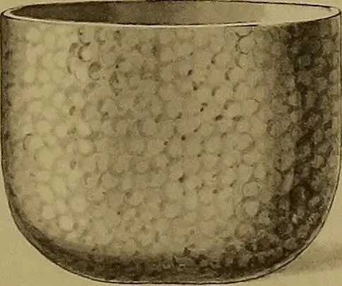 An illustration from The values of old English silver and Sheffeld plate, from the xvth to the xixth centuries, 1906, leaf 334