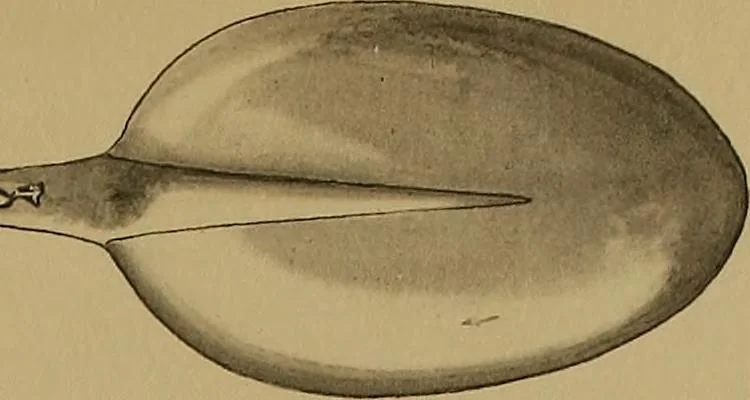 An illustration from The values of old English silver and Sheffeld plate, from the xvth to the xixth centuries, 1906, leaf 444