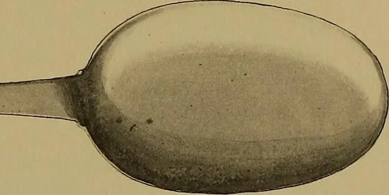 An illustration from The values of old English silver and Sheffeld plate, from the xvth to the xixth centuries, 1906, leaf 444