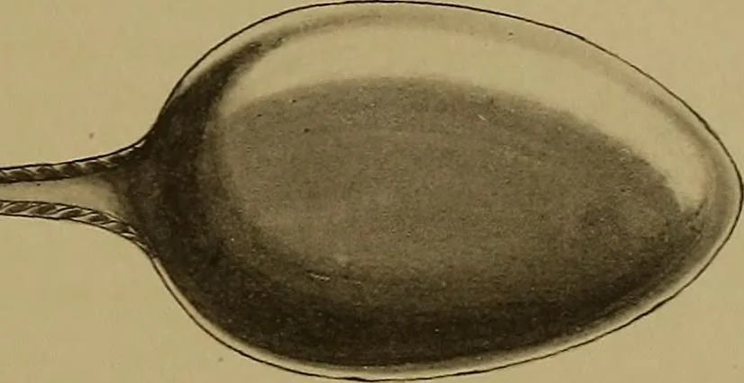 An illustration from The values of old English silver and Sheffeld plate, from the xvth to the xixth centuries, 1906, leaf 448