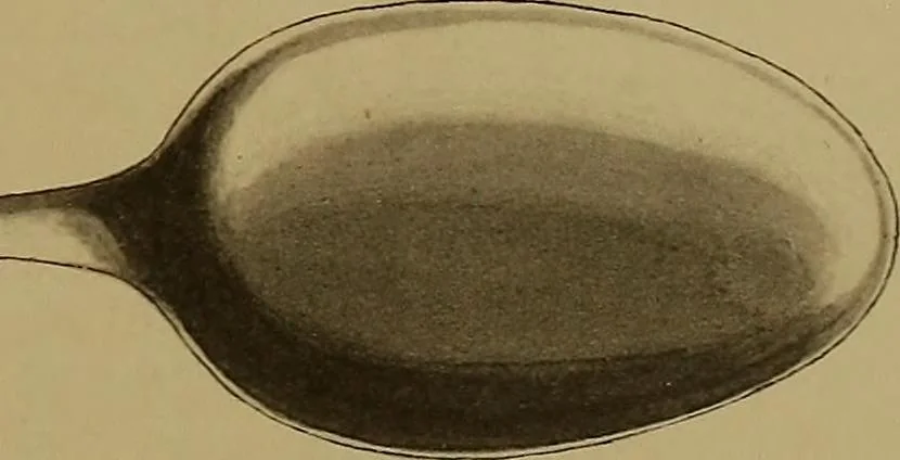 An illustration from The values of old English silver and Sheffeld plate, from the xvth to the xixth centuries, 1906, leaf 448