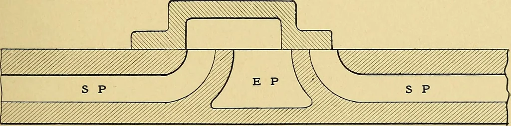 An illustration from Valve setting: simple methods of setting the plain slide valve. Meyer cut-off. Corliss. and poppet types, 1908, leaf 22