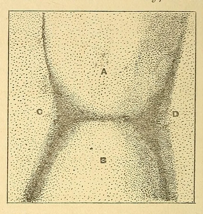 An illustration from Van Nostrand's eclectic engineering magazine, 1869, leaf 576