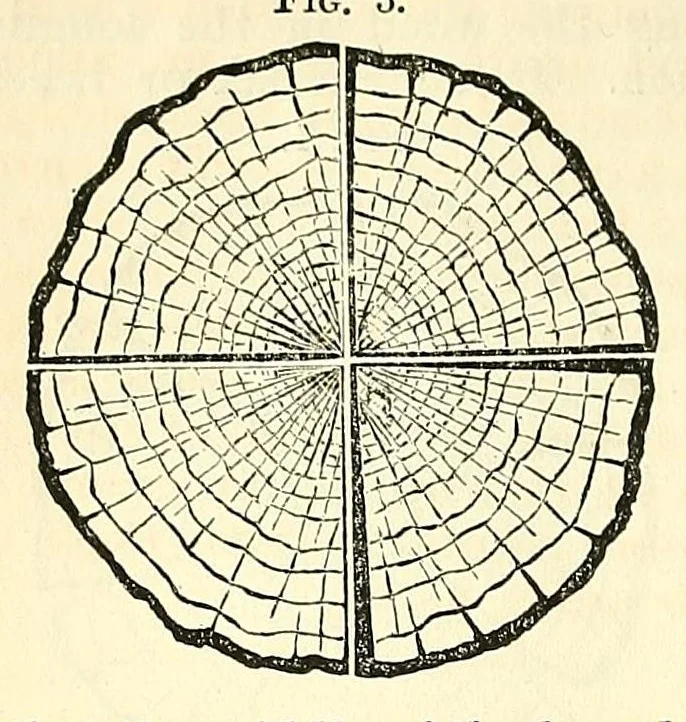An illustration from Van Nostrand's eclectic engineering magazine, 1869, leaf 54
