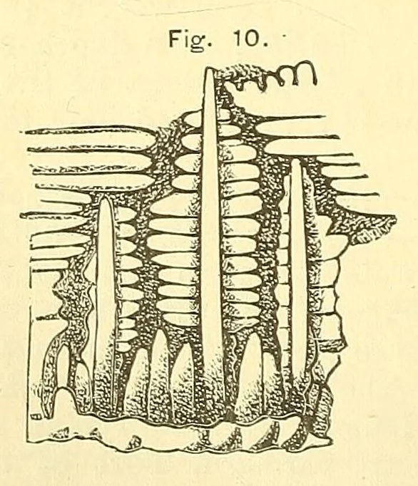 An illustration from Van Nostrand's engineering magazine, 1879, leaf 140