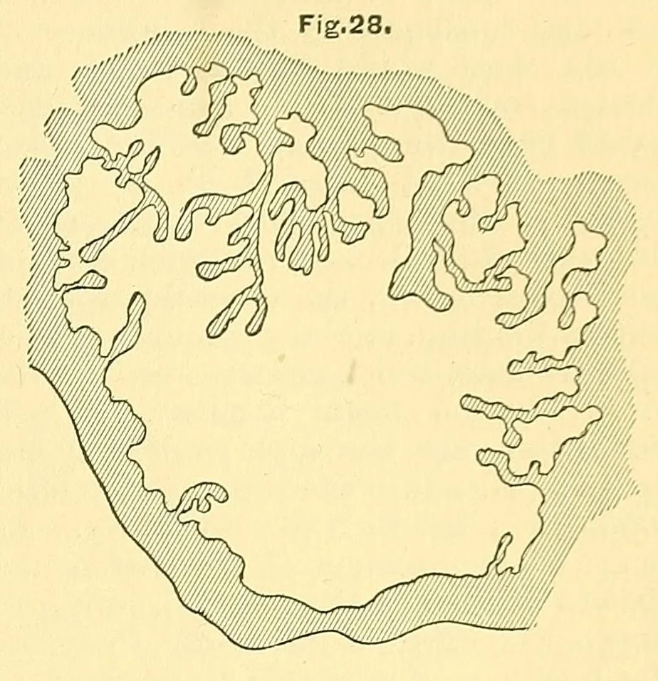 An illustration from Van Nostrand's engineering magazine, 1879, leaf 195