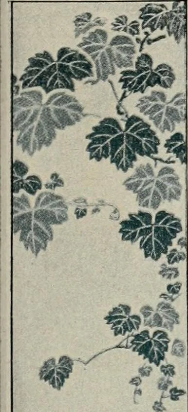 An illustration from Vantine's., 1917, leaf 110