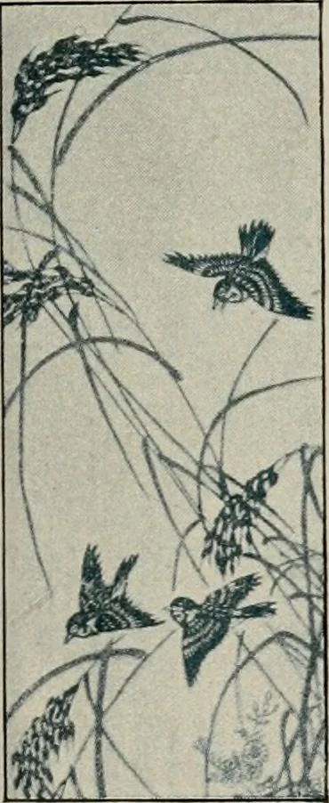 An illustration from Vantine's., 1917, leaf 110
