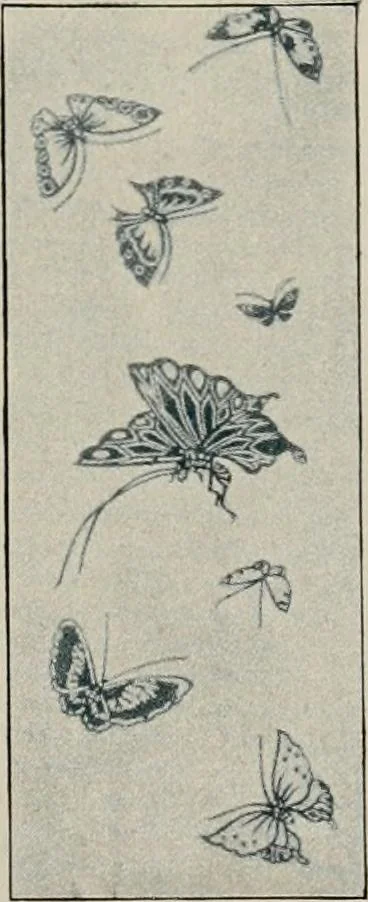 An illustration from Vantine's., 1917, leaf 110