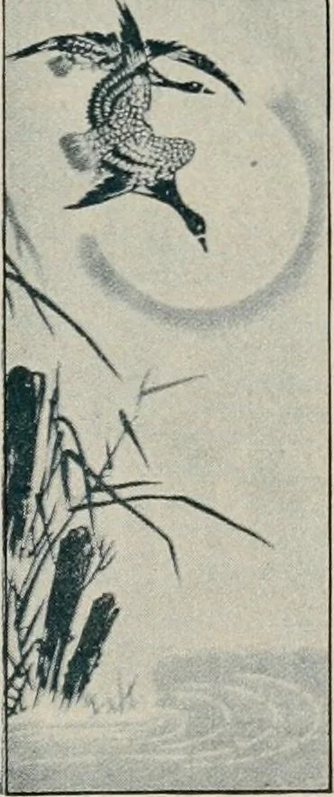 An illustration from Vantine's., 1917, leaf 110