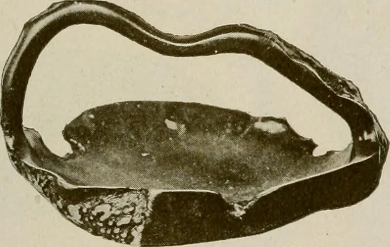An illustration from Vantine's., 1917, leaf 120