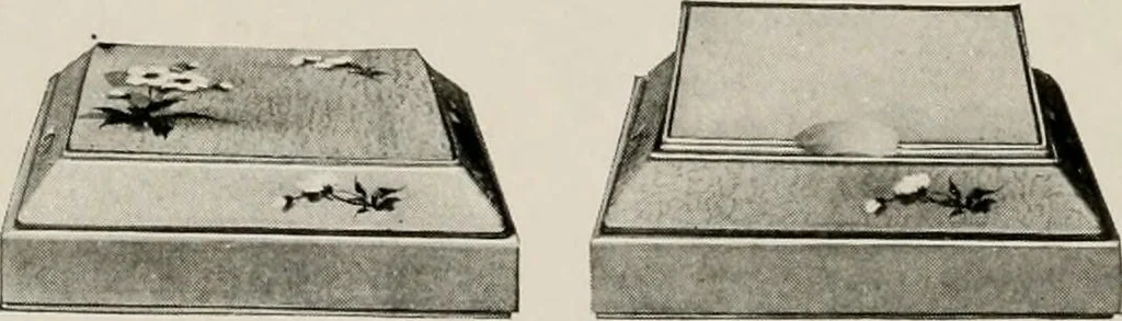 An illustration from Vantine's., 1917, leaf 29