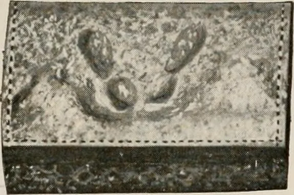 An illustration from Vantine's., 1917, leaf 35