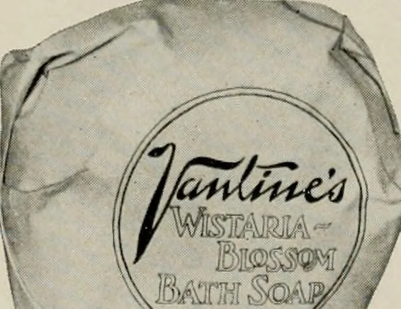 An illustration from Vantine's., 1917, leaf 46