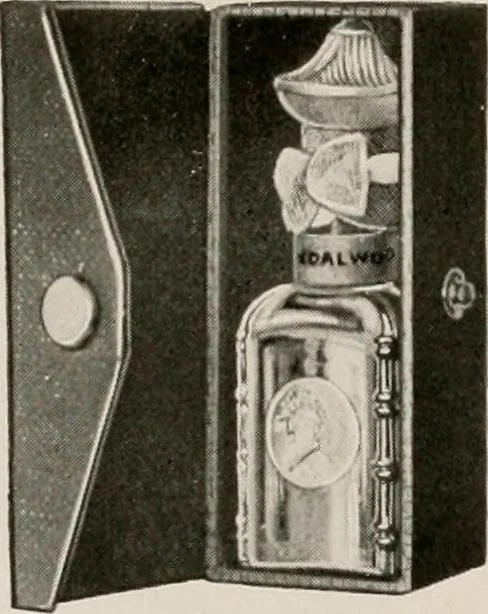 An illustration from Vantine's., 1917, leaf 49