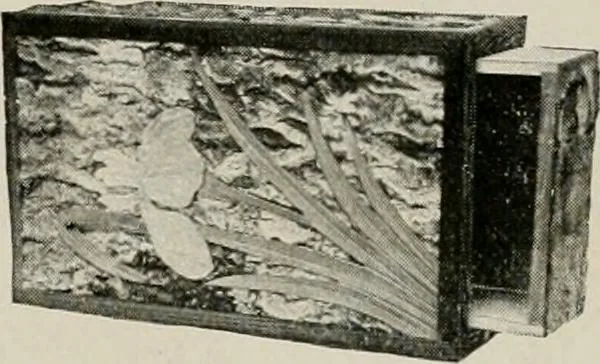 An illustration from Vantine's., 1917, leaf 56