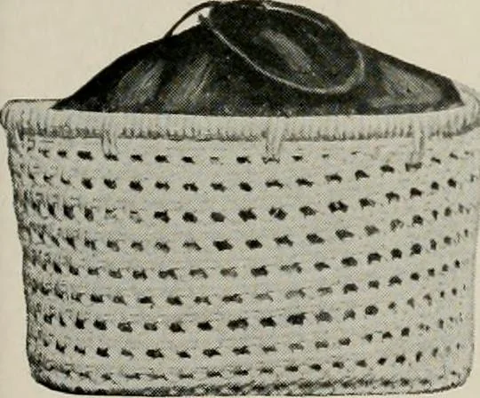 An illustration from Vantine's., 1917, leaf 66