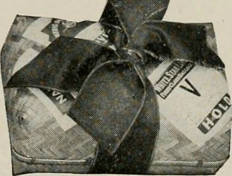 An illustration from Vantine's., 1917, leaf 66