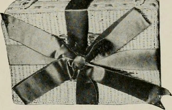 An illustration from Vantine's., 1917, leaf 66
