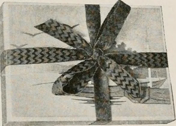 An illustration from Vantine's., 1917, leaf 67