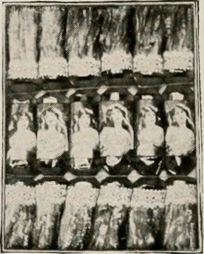 An illustration from Vantine's., 1917, leaf 71