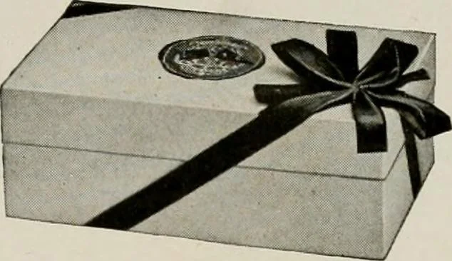 An illustration from Vantine's., 1917, leaf 72