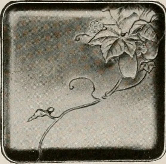 An illustration from Vantine's., 1917, leaf 91