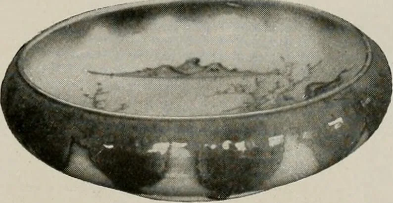 An illustration from Vantine's., 1917, leaf 98