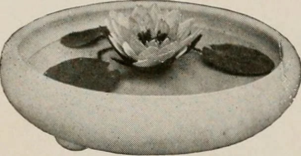 An illustration from Vantine's., 1917, leaf 99