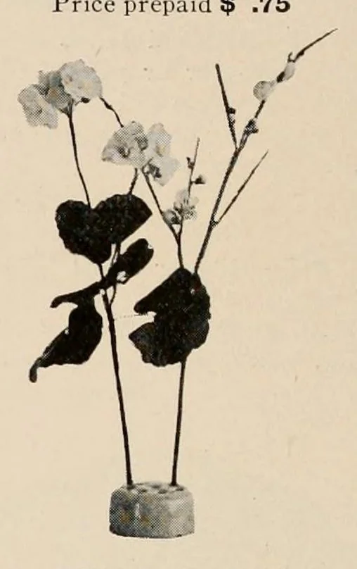 An illustration from Vantine's., leaf 40