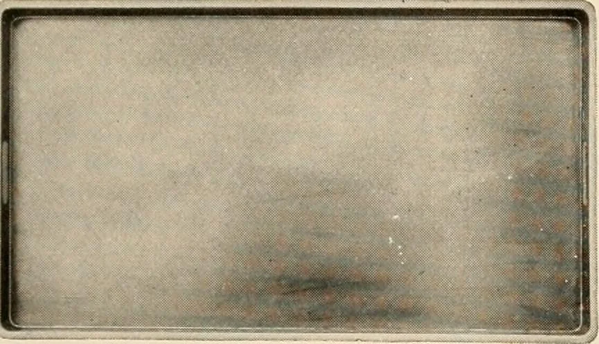 An illustration from Vantine's., 1915, leaf 22