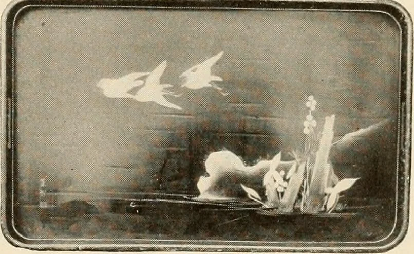 An illustration from Vantine's., 1915, leaf 22