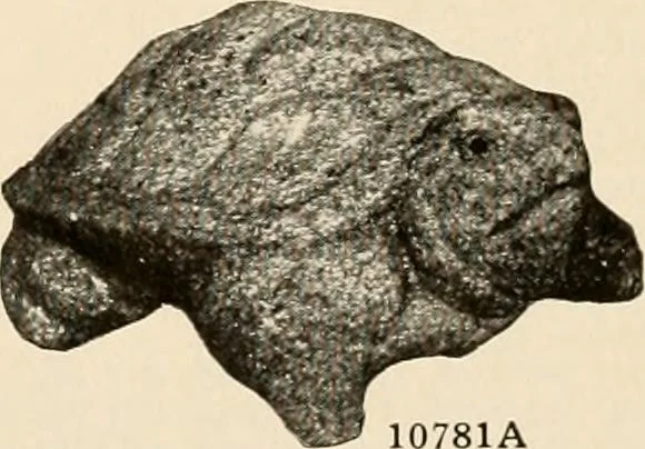 An illustration from Vantine's., 1915, leaf 46