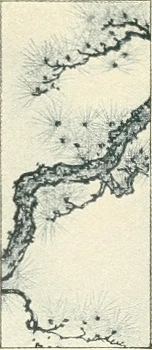 An illustration from Vantine's., 1915, leaf 9