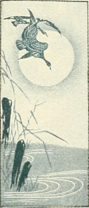 An illustration from Vantine's., 1915, leaf 9