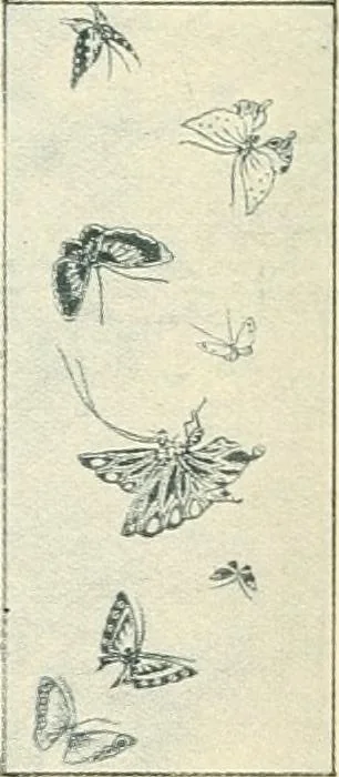 An illustration from Vantine's., 1915, leaf 9