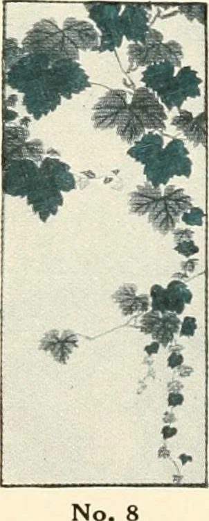 An illustration from Vantine's., 1915, leaf 9