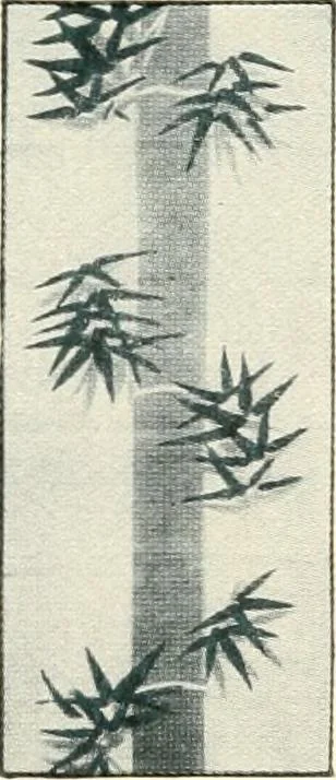 An illustration from Vantine's., 1915, leaf 9