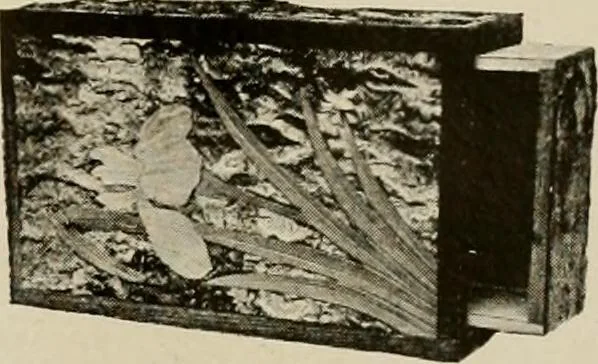 An illustration from Vantine's, the oriental store., 1919, leaf 42