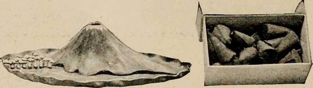 An illustration from Vantine's, the oriental store., 1919, leaf 43