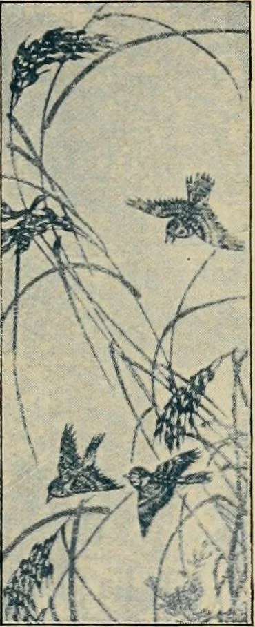 An illustration from Vantine's, the oriental store., 1919, leaf 78
