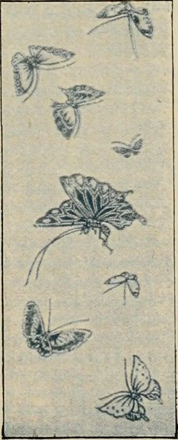 An illustration from Vantine's, the oriental store., 1919, leaf 78