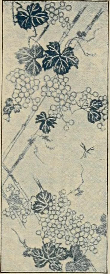 An illustration from Vantine's, the oriental store., 1919, leaf 78