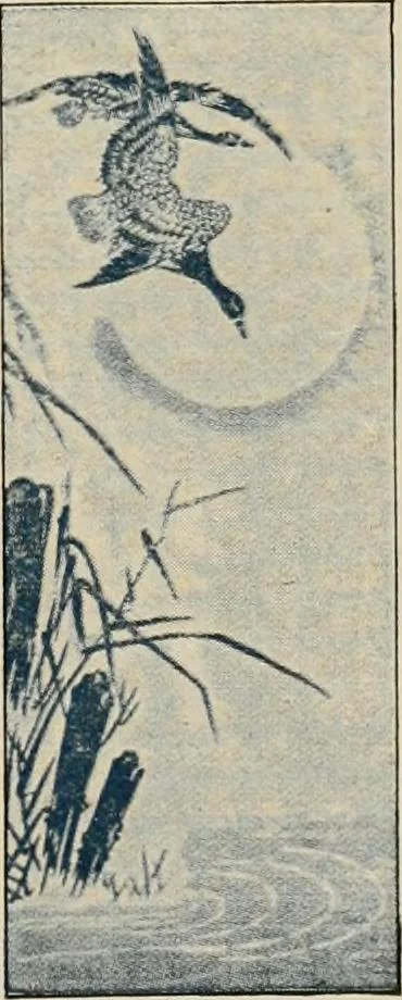 An illustration from Vantine's, the oriental store., 1919, leaf 78