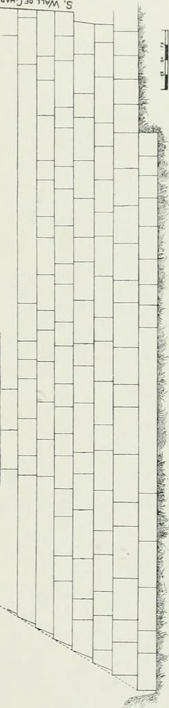 An illustration from Varia africana. I-5, 1917, leaf 100