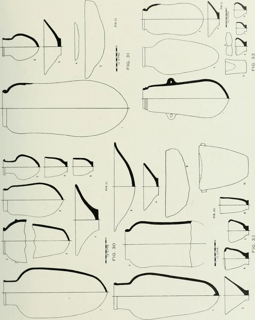 An illustration from Varia africana. I-5, 1917, leaf 102